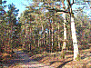 Fontainebleau_2010-01-03_12h34.jpg Fontainebleau_2010-01-03_12h34.jpg